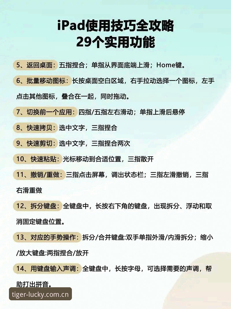 博狗网电脑版 博狗官方平台电脑版详解:从安装到使用的全面指南