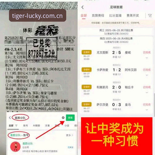 博狗网最新版本 博狗官方平台 vs 普通博彩平台:哪个更值得选择?
